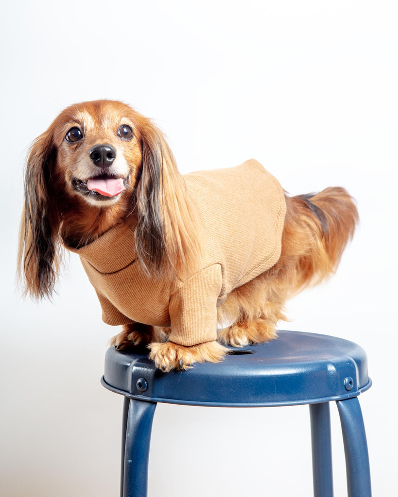 Toffee Organic Pima Cotton Dog Shirt (FINAL SALE) Wear ALQO WASI   