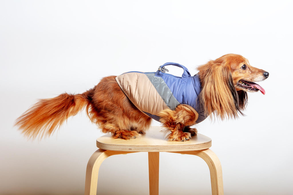 Mountaineer Waterproof Dog Harness Jacket in Tan & Moonstone Blue (FINAL SALE) Wear GOOBY   