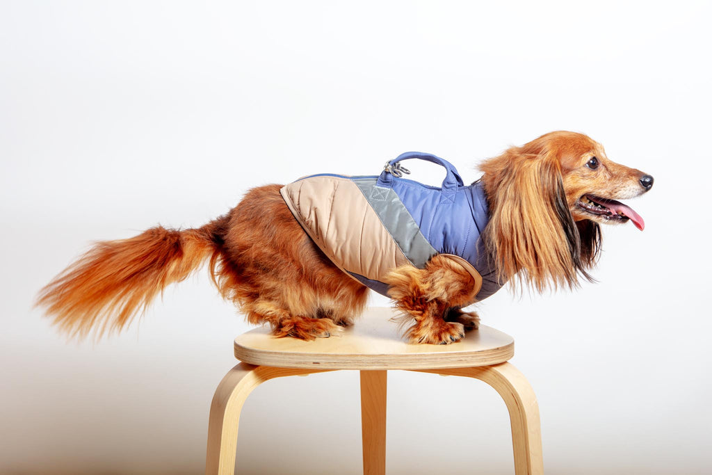 Mountaineer Waterproof Dog Harness Jacket in Tan & Moonstone Blue Wear GOOBY   