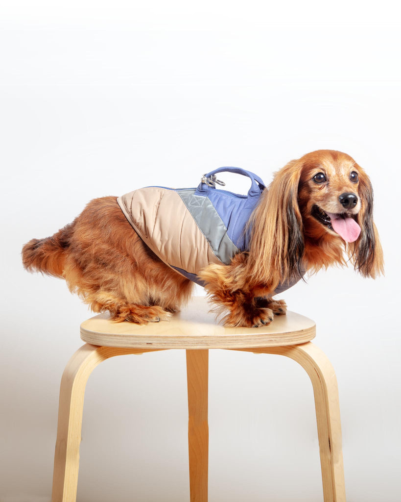 Mountaineer Waterproof Dog Harness Jacket in Tan & Moonstone Blue (FINAL SALE) Wear GOOBY   