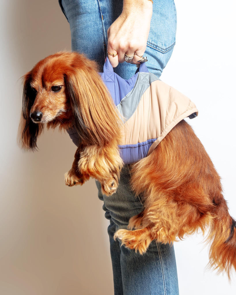 Mountaineer Waterproof Dog Harness Jacket in Tan & Moonstone Blue (FINAL SALE) Wear GOOBY   