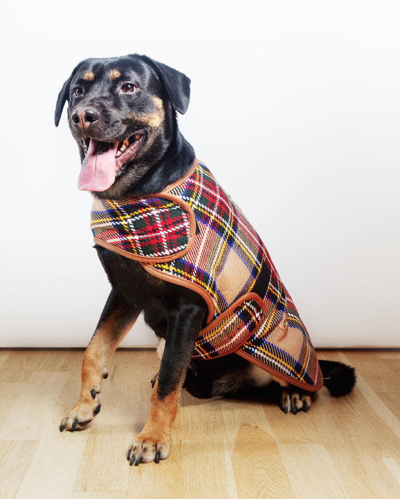 Tan Tartan Plaid Dog Coat Wear CHILLY DOG   