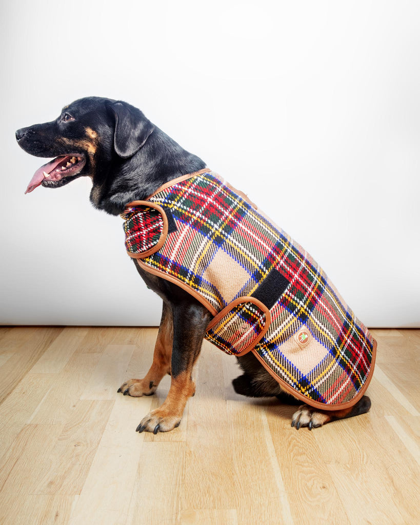Tan Tartan Plaid Dog Coat (FINAL SALE) Wear CHILLY DOG   