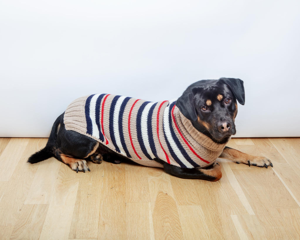 Bentley Alpaca Stripe Wool Dog Sweater (FINAL SALE) Wear CHILLY DOG   