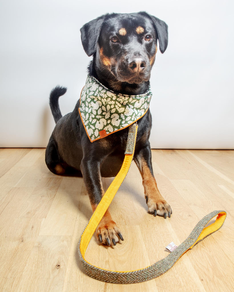 Eriskay Harris Tweed Dog Lead Leash BLOSSOM CO.   