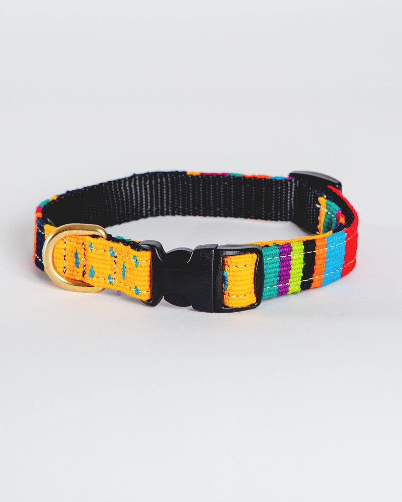 Sun Valley Holiday Collar (Made in the USA) WALK A TAIL WE COULD WAG   