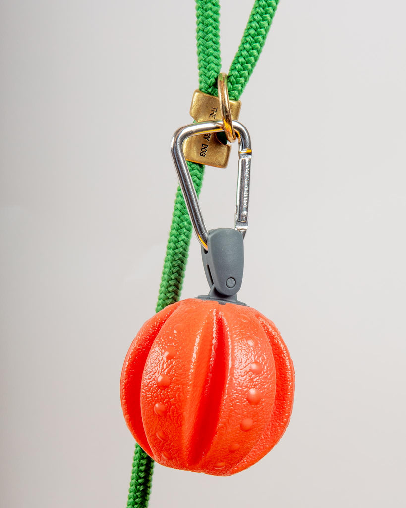 Off-Leash Reaction Ball in Orange Play DEXAS   