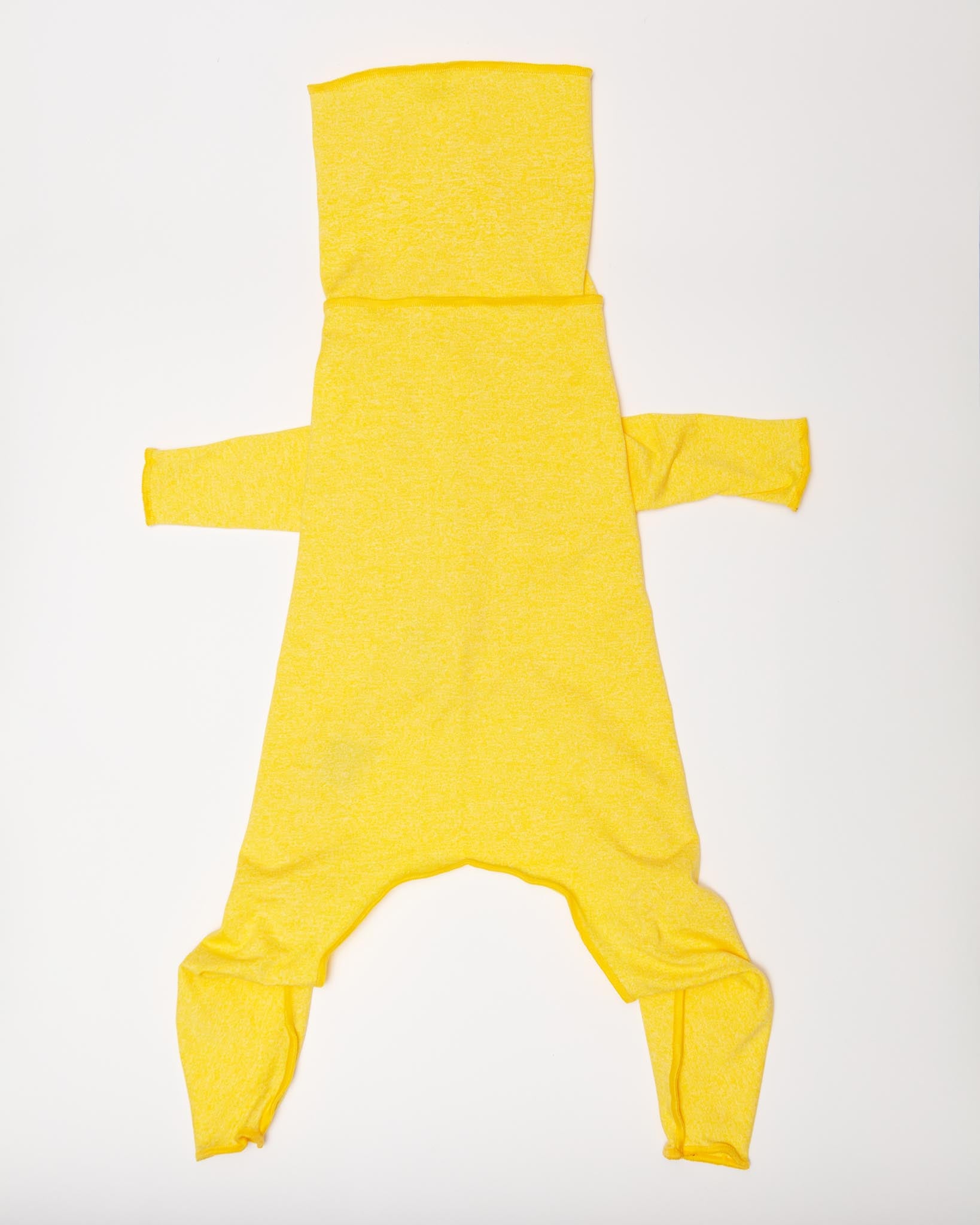 新品Gold Paw Sunshield Size12 小型犬用 紫外線カット Dog_Co_1C5A2250_1638x.jpg?v=
