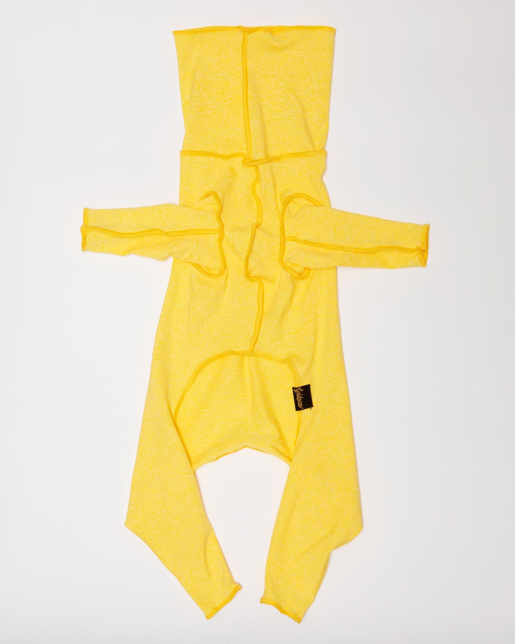 新品Gold Paw Sunshield Size12 小型犬用 紫外線カット Dog_Co_1C5A2252_1c303e28-0aaf-