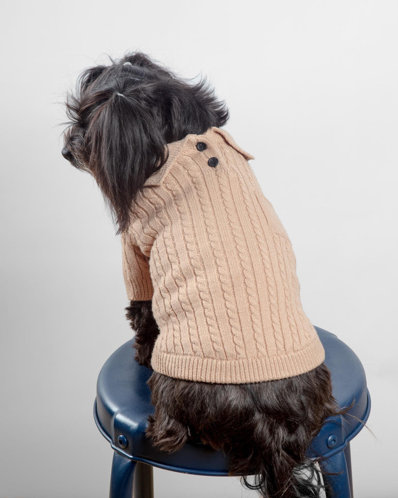 Polo Knit Dog Sweater in Camel Wear CANICHE   