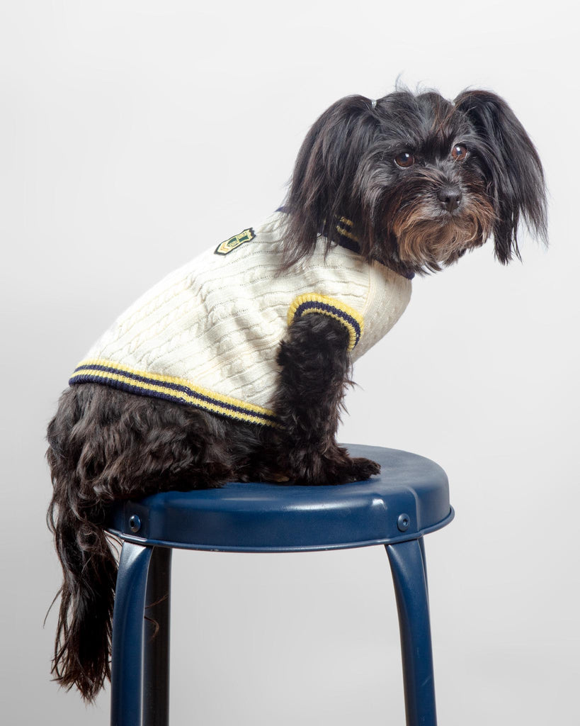 Prep School V-Neck Dog Sweater Wear CANICHE   