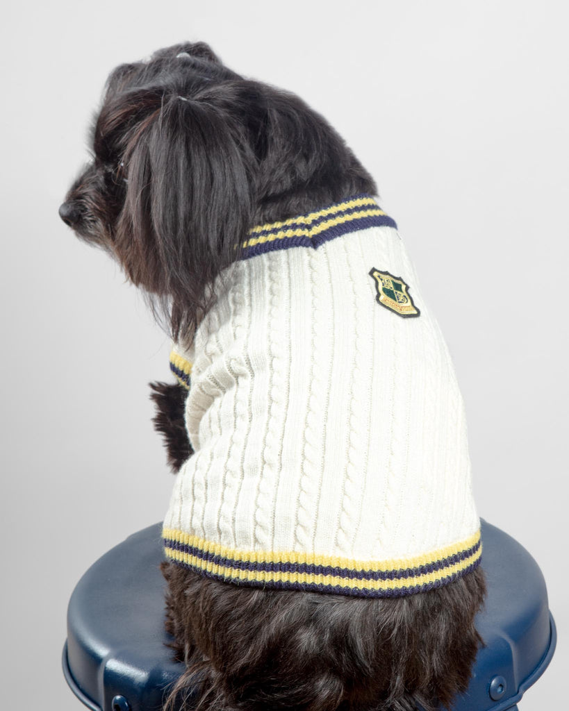 Prep School V-Neck Dog Sweater Wear CANICHE   