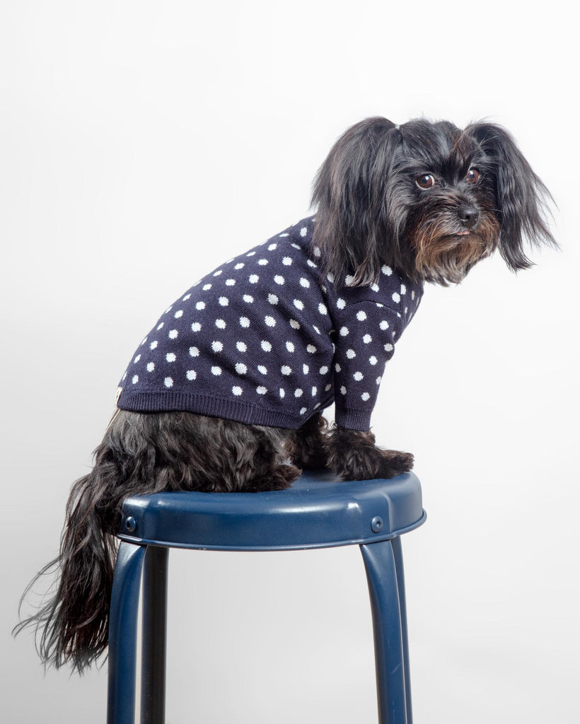 Polka Dot Knit Dog Sweater in Navy Wear CANICHE   