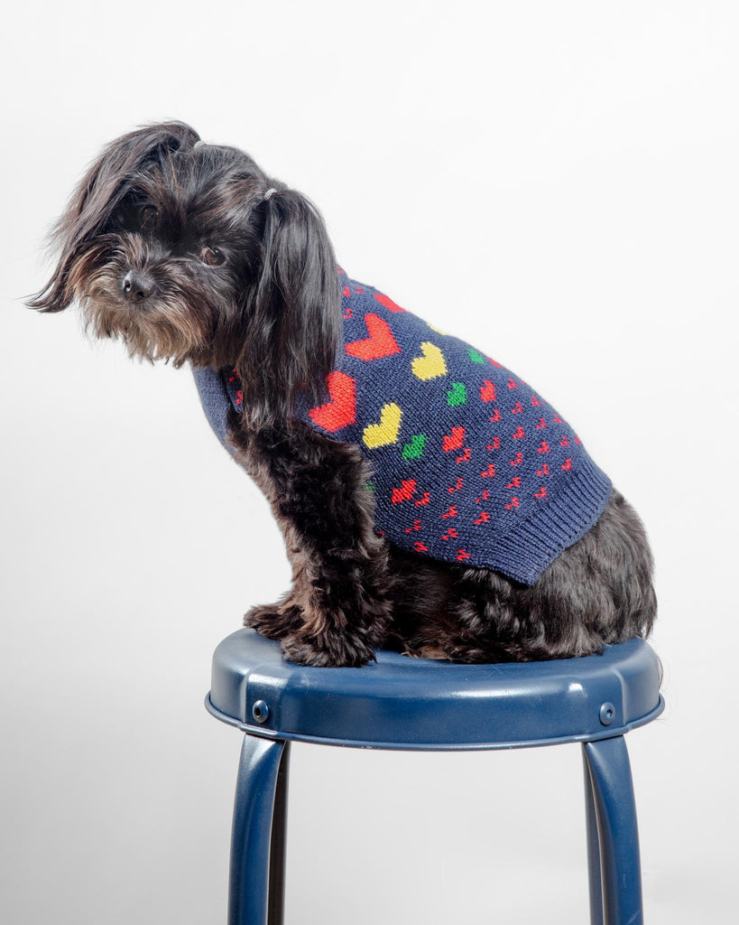 Preppy Heart Dog Sweater Wear Finnegan's Standard Goods   