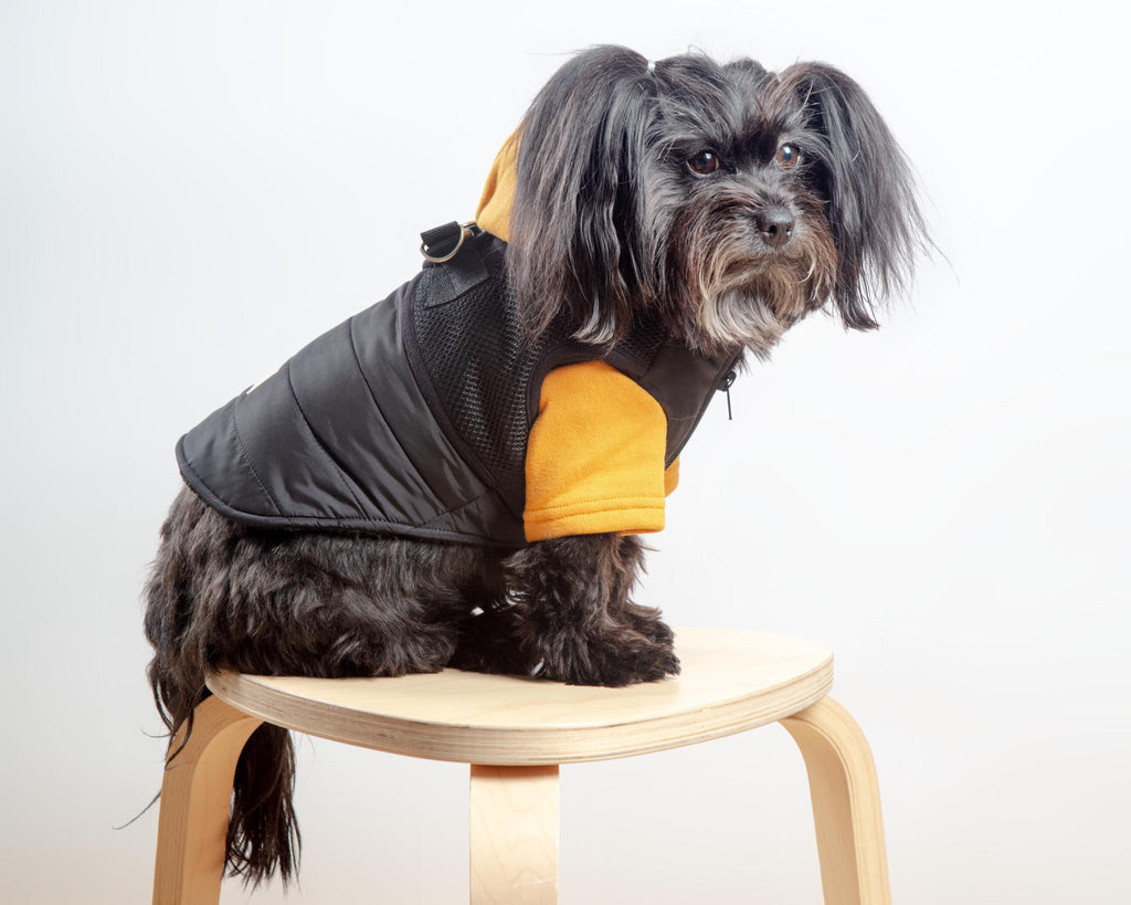 Padded Hoodie Harness Dog Jacket (FINAL SALE) Wear CANICHE   