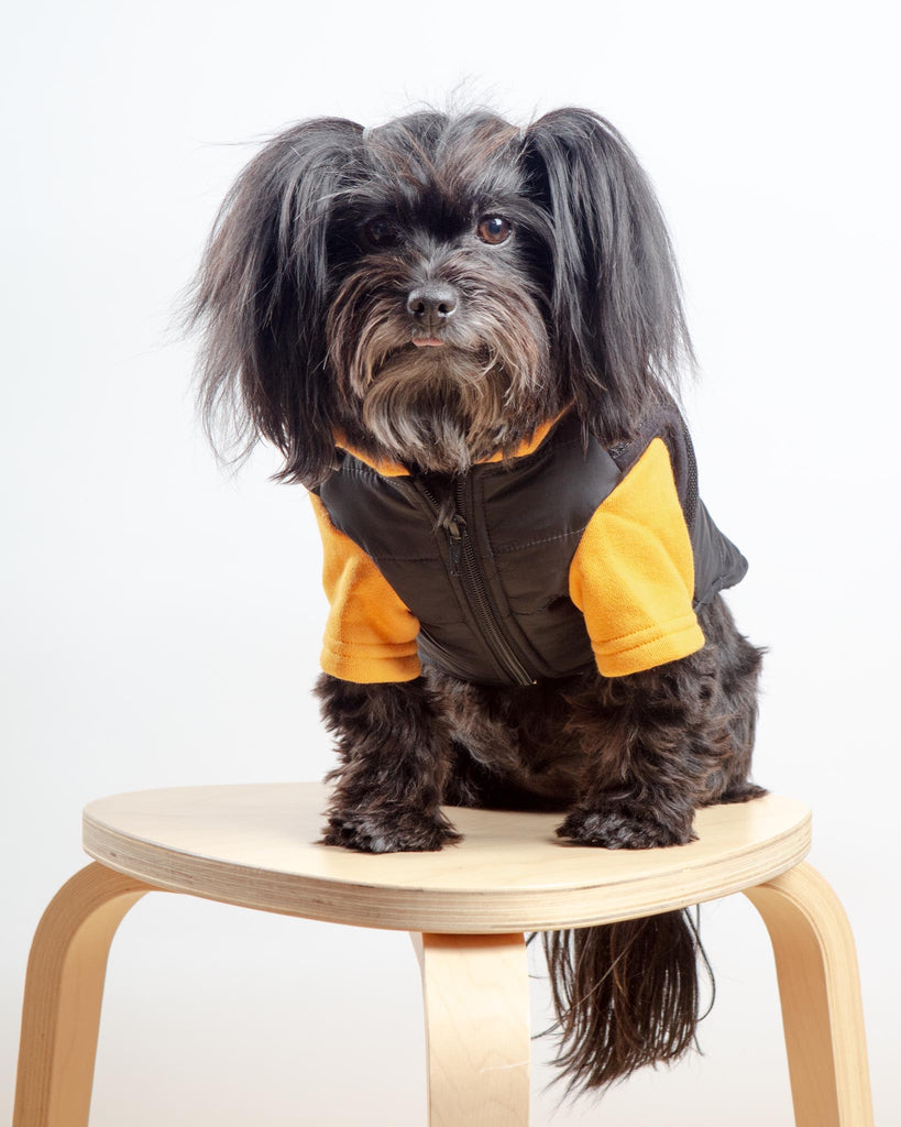 Padded Hoodie Harness Dog Jacket (FINAL SALE) Wear CANICHE   