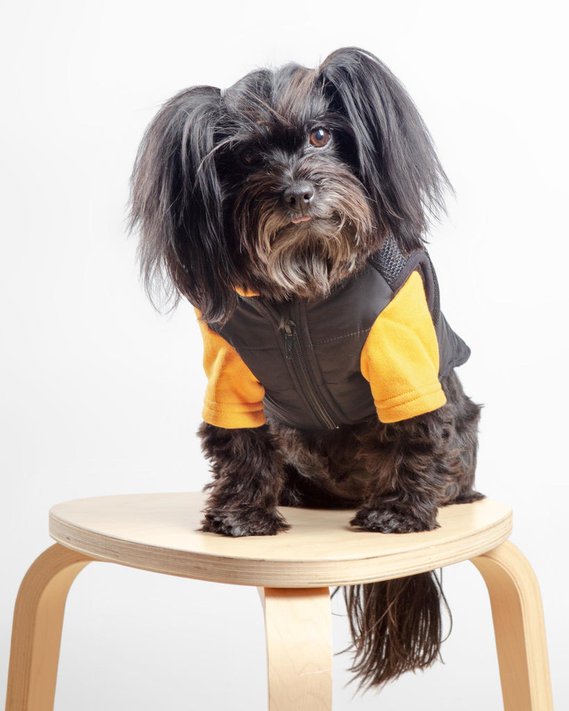 Padded Hoodie Harness Dog Jacket (FINAL SALE) Wear CANICHE   