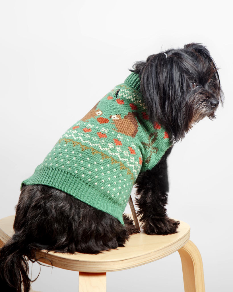 Squirrel Love Dog Sweater (FINAL SALE) Wear Finnegan's Standard Goods   