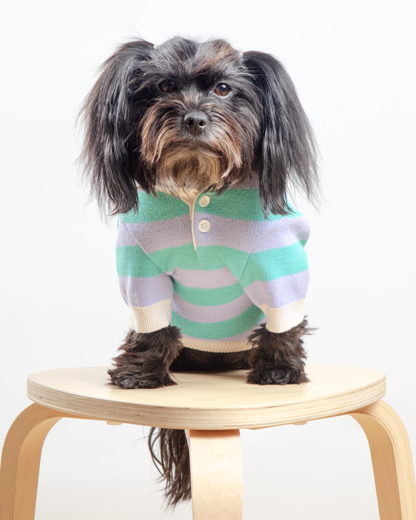 Striped Rugby Knit Dog Sweater (FINAL SALE) Wear MIMINKO   