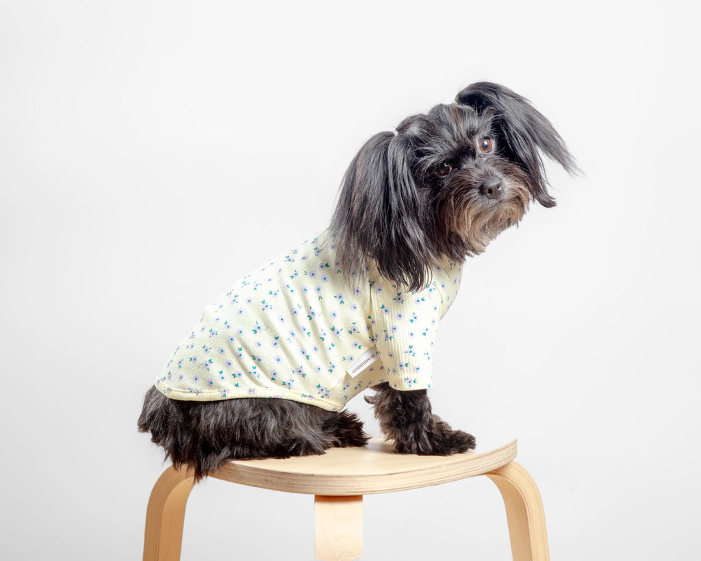 Forget-Me-Not Cozy Dog Shirt in Yellow (FINAL SALE) Wear MIMINKO   