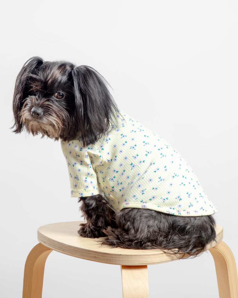 Forget-Me-Not Cozy Dog Shirt in Yellow (FINAL SALE) Wear MIMINKO   