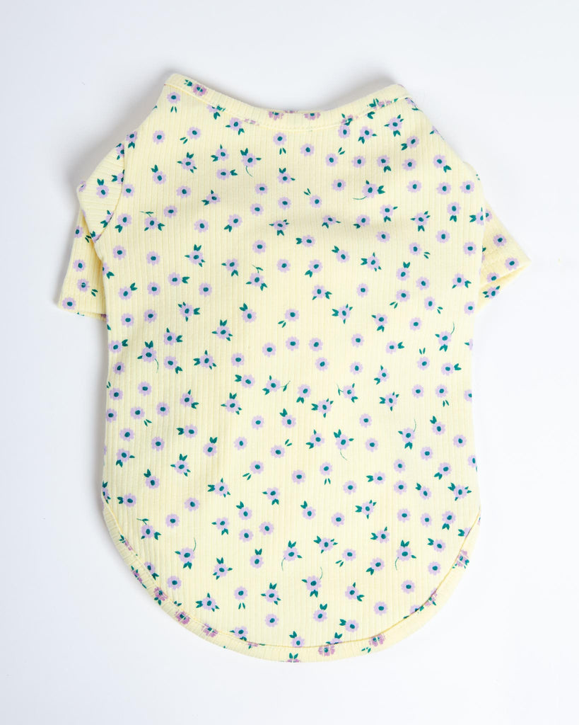 Forget-Me-Not Cozy Dog Shirt in Yellow (FINAL SALE) Wear MIMINKO   
