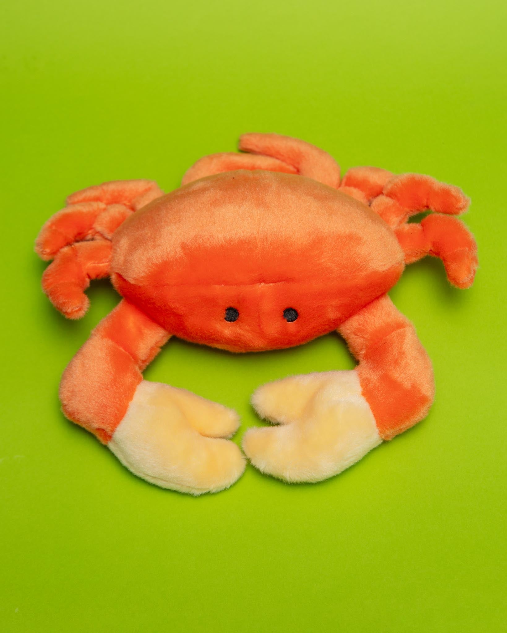 dog&co 　POINT-H DOG & CO. | Quality Pet Products, In-Store & Online