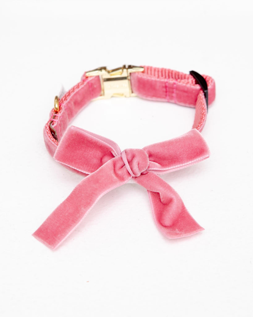Velvet Dog Bow Collar Set in Primrose Pink (Made in the USA) WALK MIMI GREEN