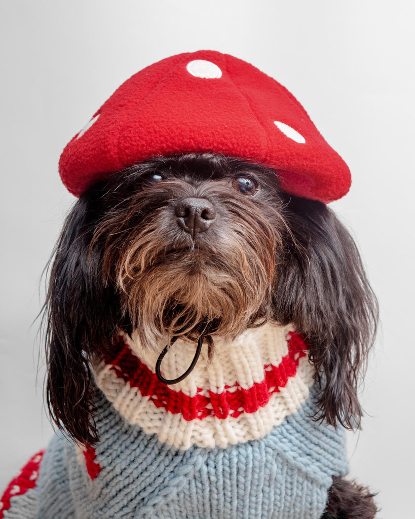 Howl-O-Ween Mushroom Cap Wear DOGO   