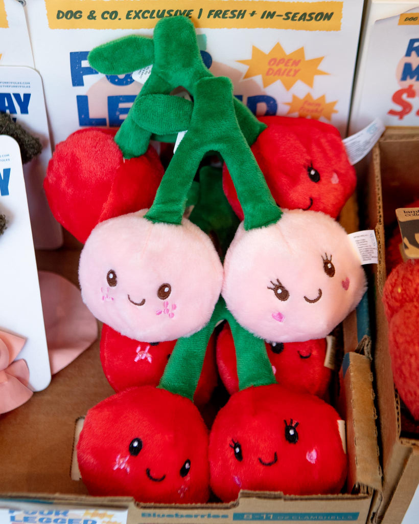 Cherryliscous Crinkle & Squeaker Dog Toy PLAY GIFTABLE WORLD