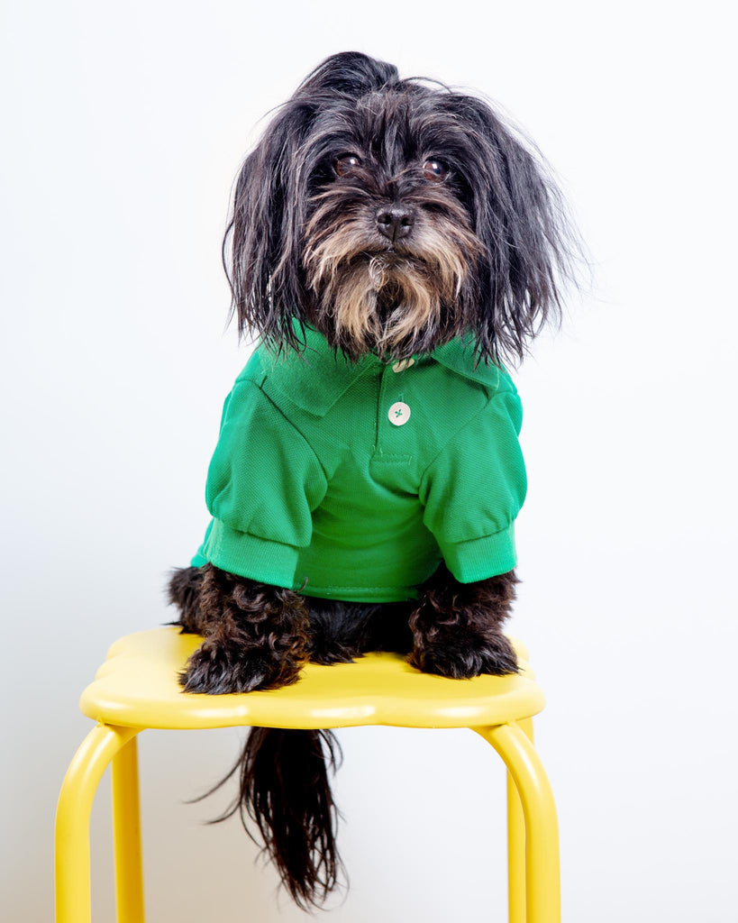 Parisian Pet Birthday Girl Dog Shirt PARISIAN PETS Dog Polo Shirt