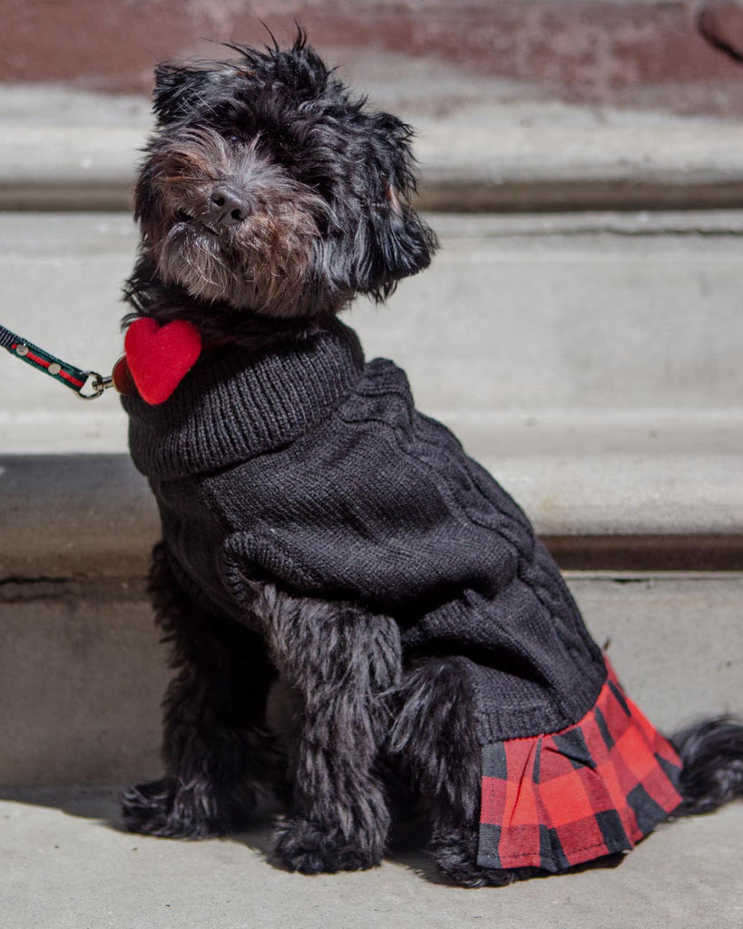 Turtleneck Sweater Dress for Dogs Wear THE WORTHY DOG   