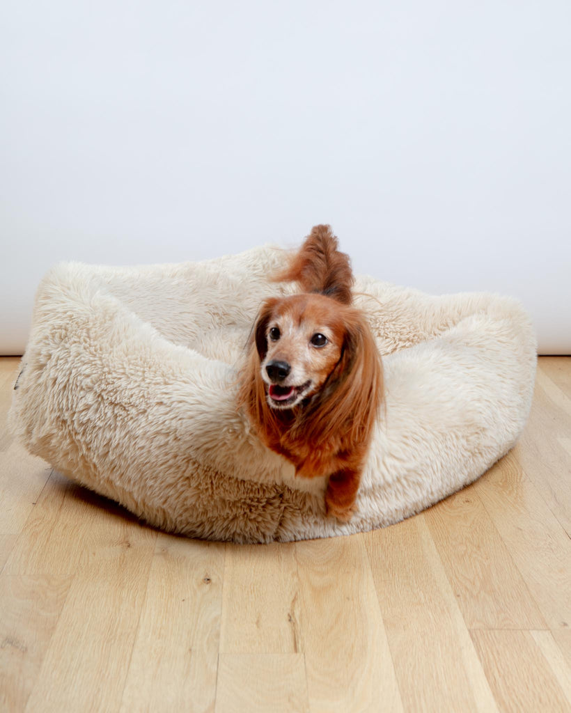 The Franklin Dog Bed in Fluffernutter (Direct-Ship) HOME BOWSER'S PET PRODUCTS