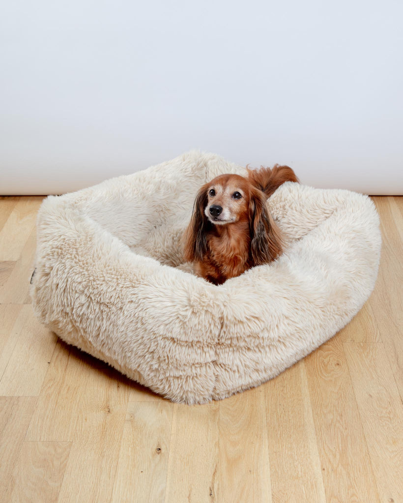 The Franklin Dog Bed in Fluffernutter (Direct-Ship) HOME BOWSER'S PET PRODUCTS