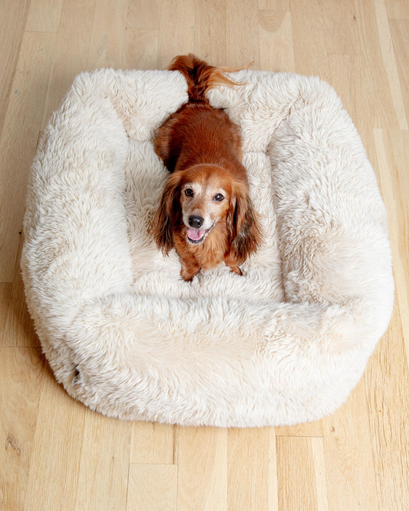 The Franklin Dog Bed in Fluffernutter (Direct-Ship) HOME BOWSER'S PET PRODUCTS