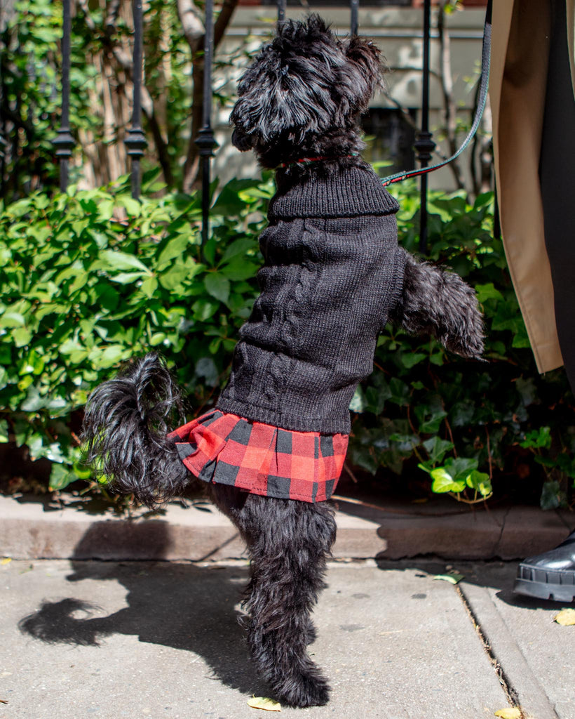 Turtleneck Sweater Dress for Dogs Wear THE WORTHY DOG   