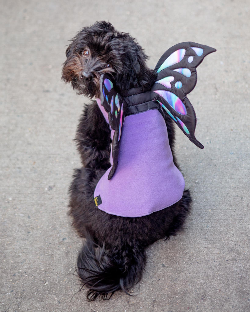 Adjustable Tie-On Howl-O-Ween Butterfly Wings Wear DOGO   