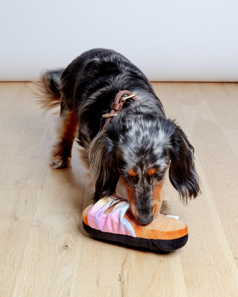 Barkenstock Rainbow Sandal Squeaky Dog Toy Play MUTTZIE
