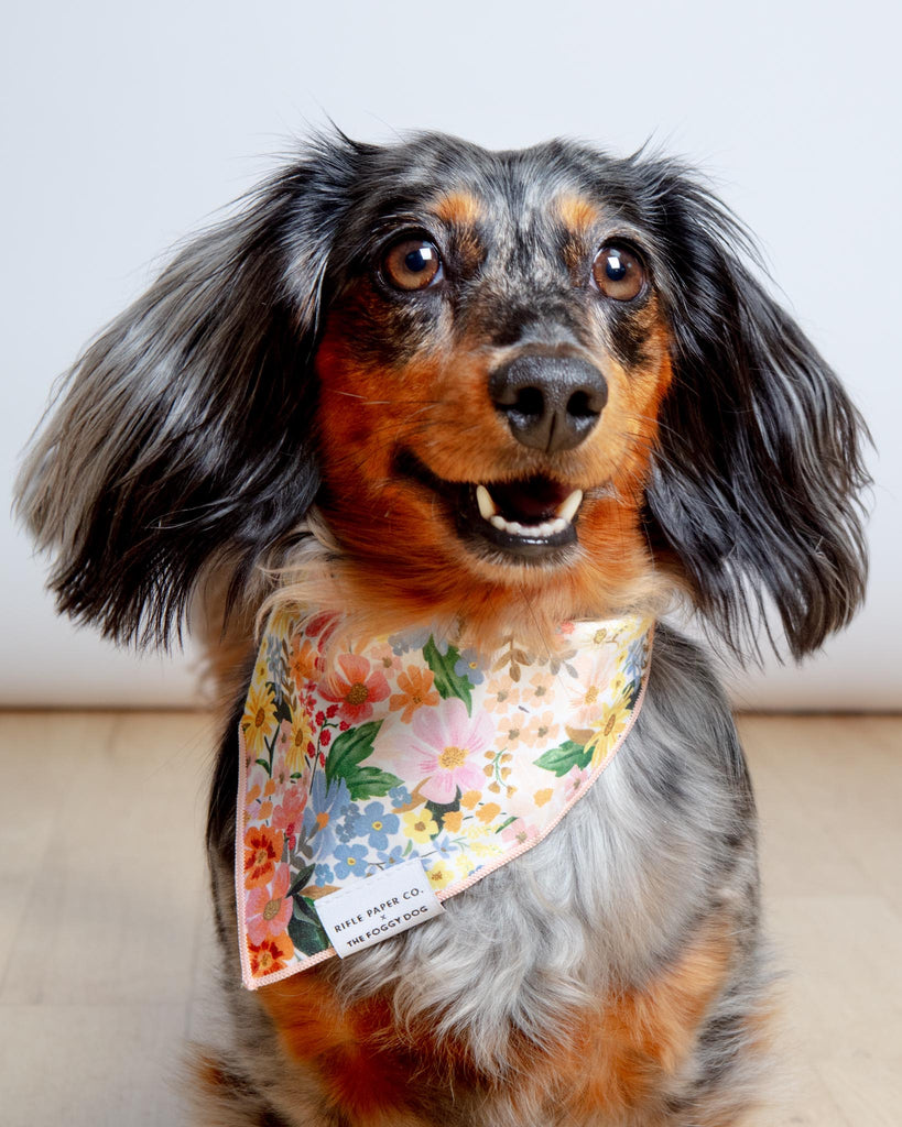 Rifle Paper Co. X TFD Marguerite Floral Dog Bandana Wear THE FOGGY DOG
