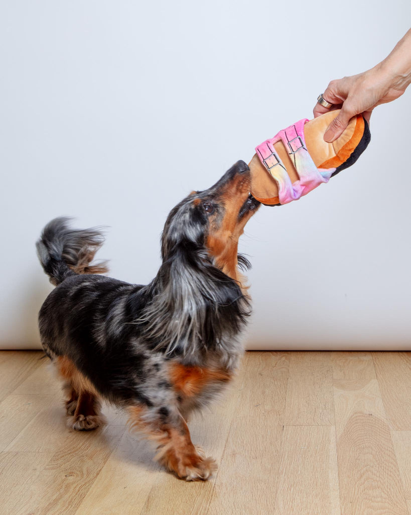 Barkenstock Rainbow Sandal Squeaky Dog Toy Play MUTTZIE