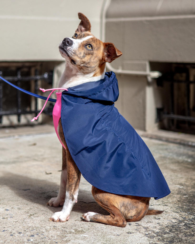 Action Jacket Pull-On Raincoat in Navy + Neon Pink (Made in NYC) Wear DOG & CO. COLLECTION   