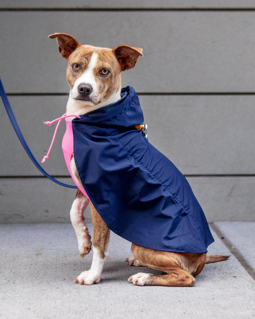 Action Jacket Pull-On Raincoat in Navy + Neon Pink (Made in NYC) Wear DOG & CO. COLLECTION   