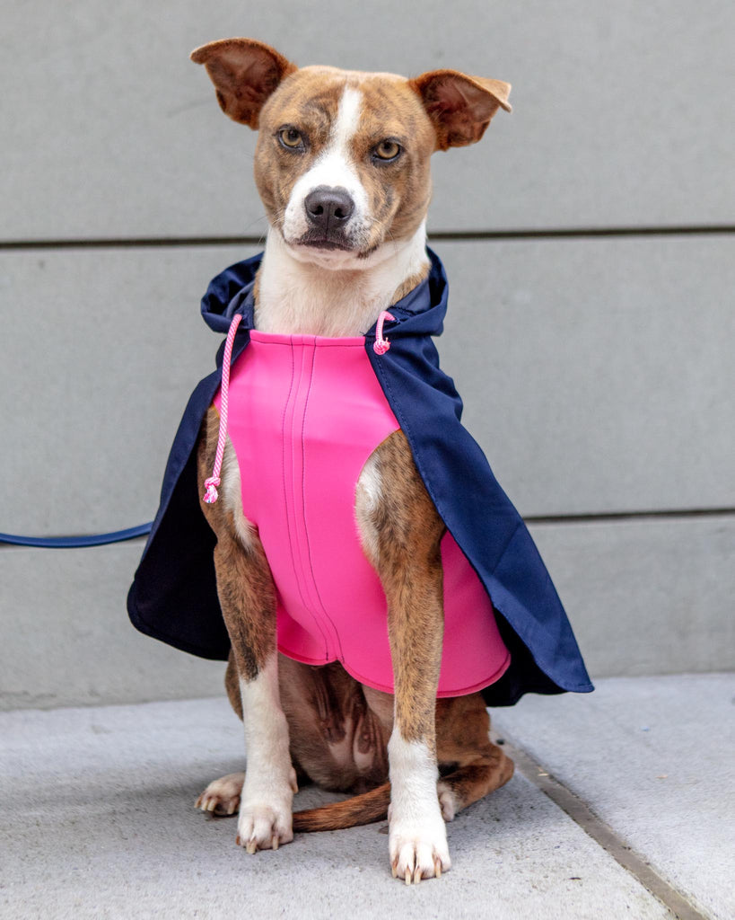 Action Jacket Pull-On Raincoat in Navy + Neon Pink (Made in NYC) Wear DOG & CO. COLLECTION   