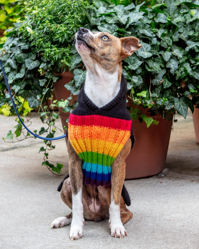 Rainbow Dragon Handknit Dog Sweater w/ Hood Wear PERUVIAN KNITS   