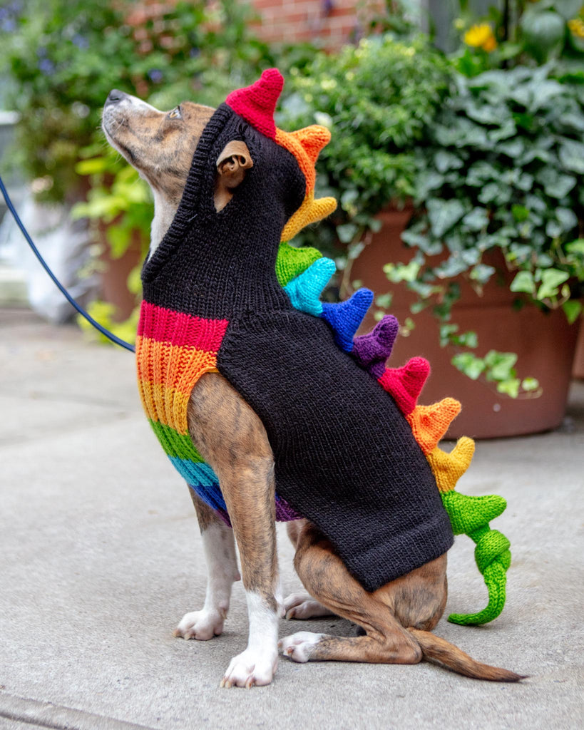 Rainbow Dragon Handknit Dog Sweater w/ Hood Wear PERUVIAN KNITS   