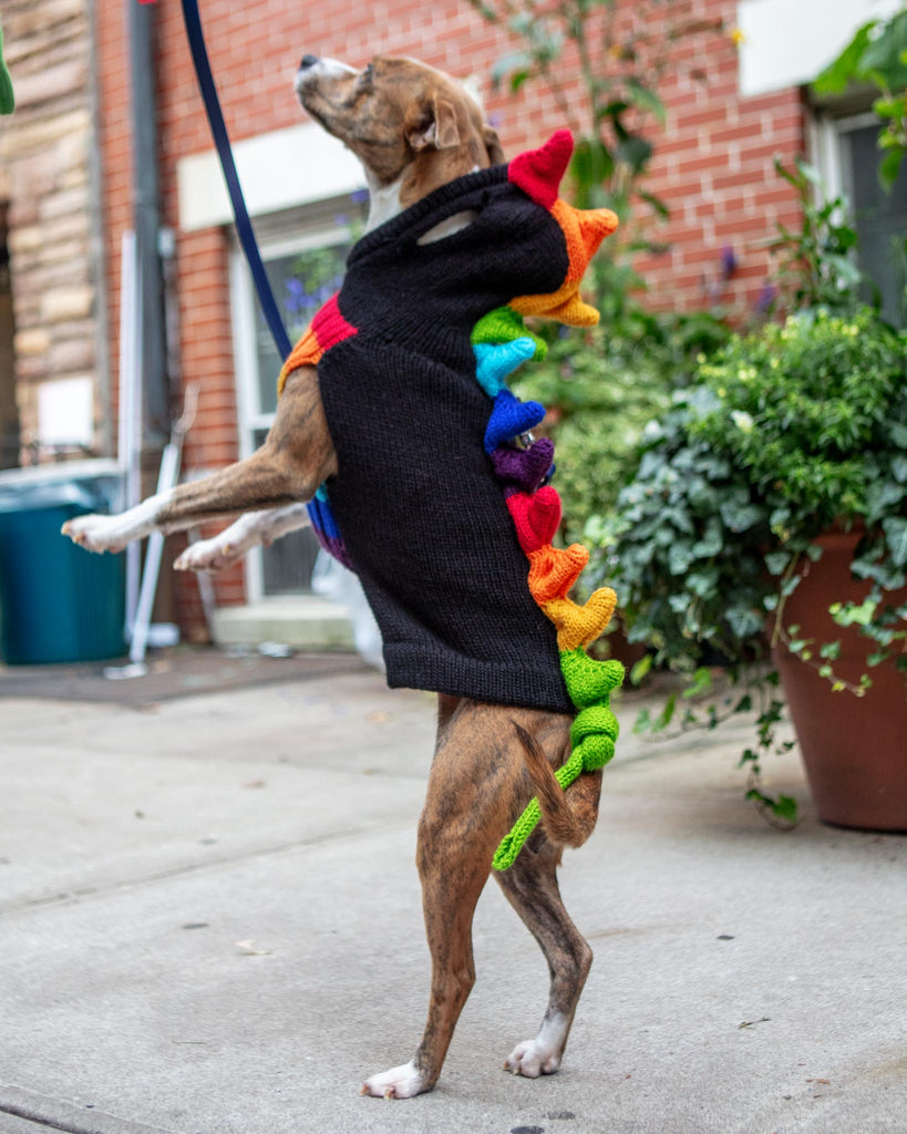 Rainbow Dragon Handknit Dog Sweater w/ Hood Wear PERUVIAN KNITS   
