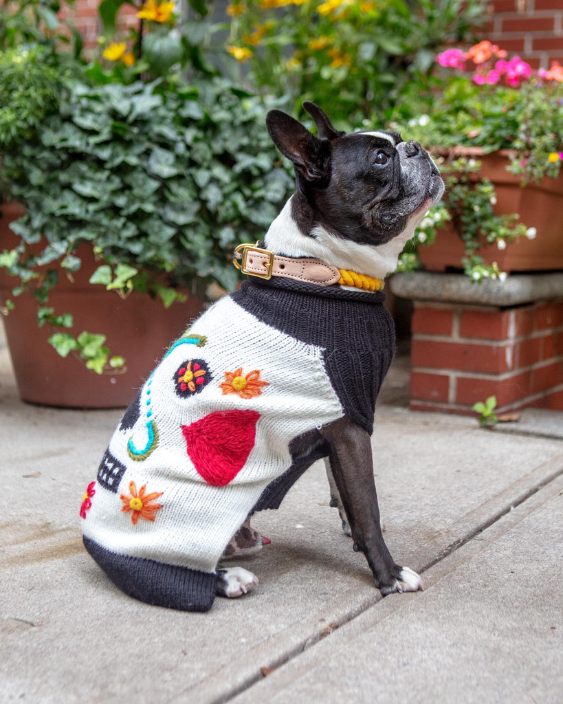 Day of the Dead Handknit Dog Sweater (FINAL SALE) Wear PERUVIAN KNITS   