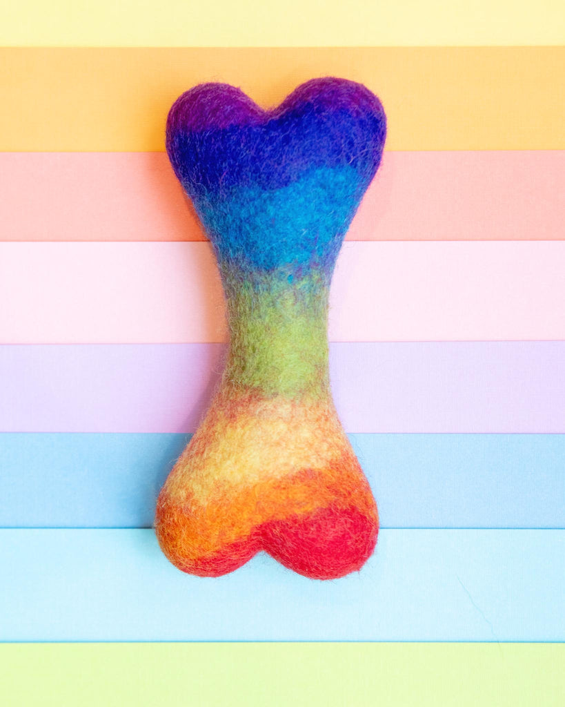 Rainbow Wool Bone Dog Toy Play MODERN BEAST