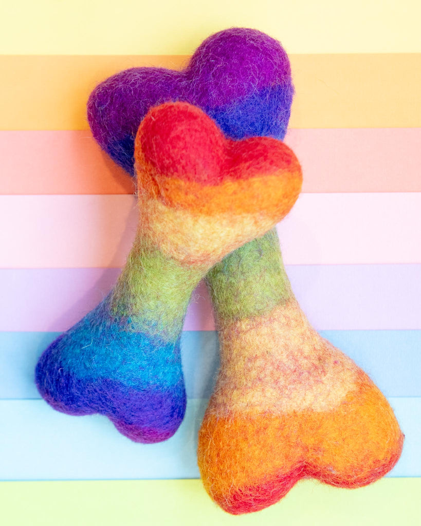 Rainbow Wool Bone Dog Toy Play MODERN BEAST