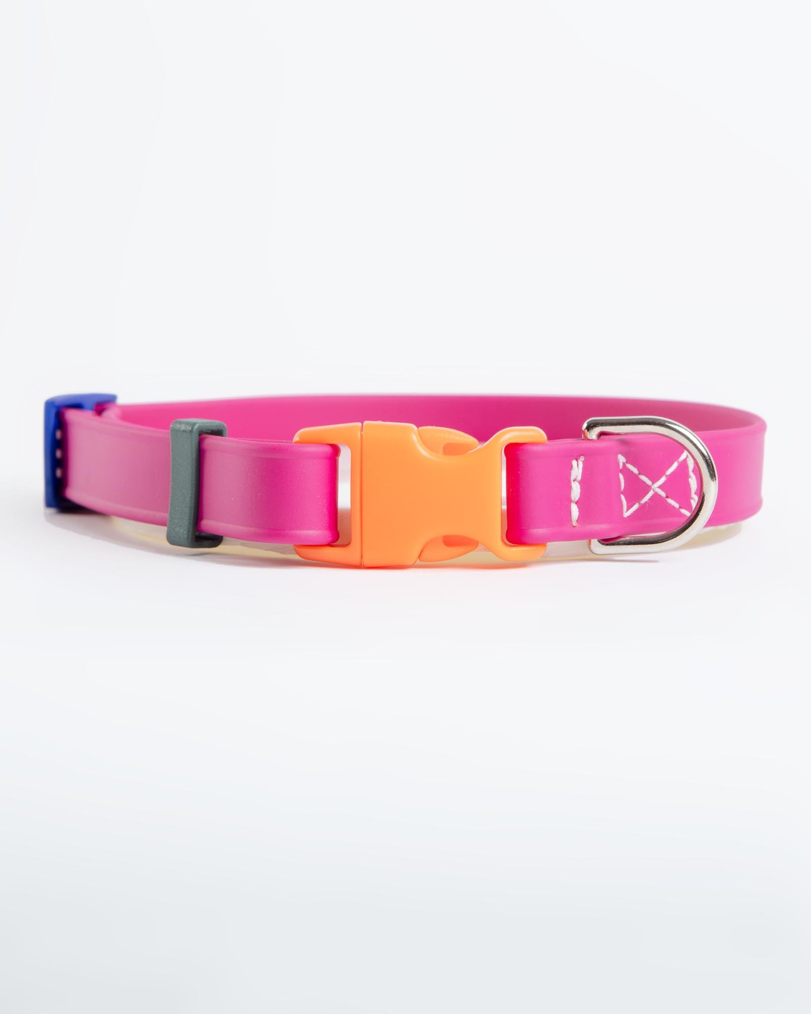DOG & CO. | A Walk in the Park Dog Collar in Magenta Pink (Made in